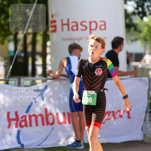 01.09.2024 - 17. Tribühne Triathlon Michael Strokosch http://msf.ph/oto/6905318 01.09.2024 11:07:25 Ziel 171, 236 meine-sportfotos.de