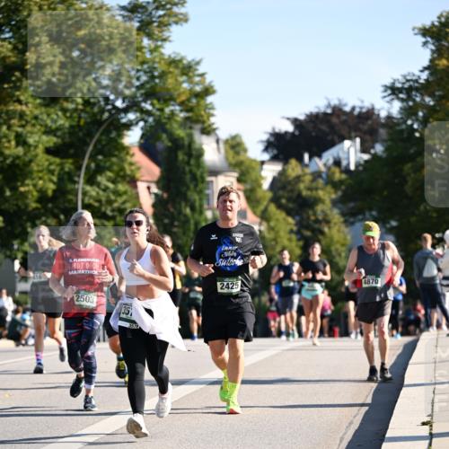 01.09.2024 - BARMER Alsterlauf Dr. Thomas Lammeyer http://msf.ph/oto/6905587 01.09.2024 09:41:18 Laufen 5, 2503, 35, 3579, 2425, 4870 meine-sportfotos.de