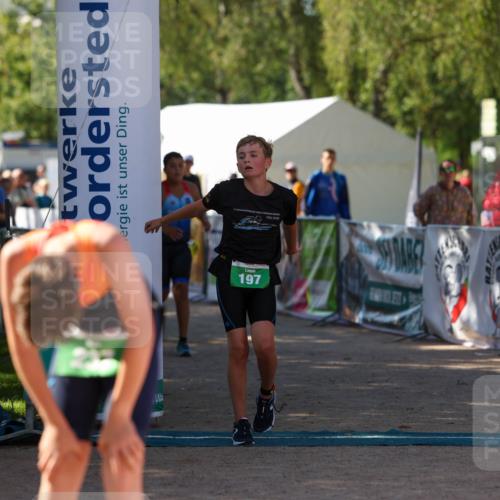 01.09.2024 - 17. Tribühne Triathlon Michael Strokosch http://msf.ph/oto/6906097 01.09.2024 11:10:18 Ziel 108, 180, 189, 197 meine-sportfotos.de