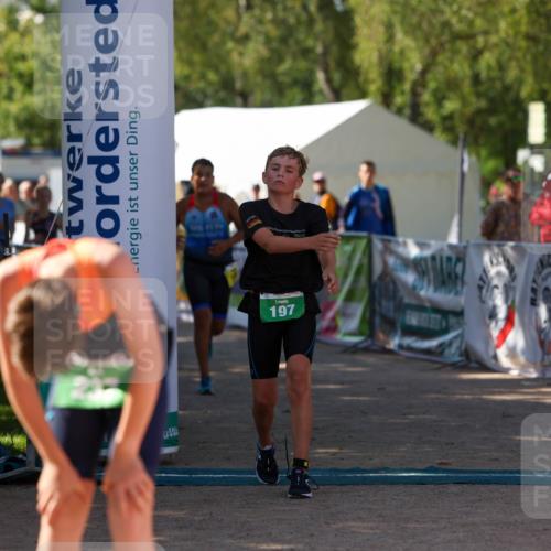 01.09.2024 - 17. Tribühne Triathlon Michael Strokosch http://msf.ph/oto/6906103 01.09.2024 11:10:18 Ziel 108, 180, 189, 197 meine-sportfotos.de
