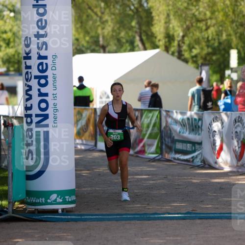 01.09.2024 - 17. Tribühne Triathlon Michael Strokosch http://msf.ph/oto/6906349 01.09.2024 11:11:55 Ziel 203 meine-sportfotos.de