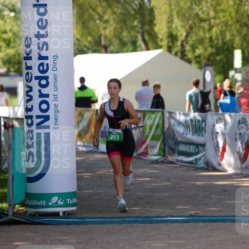 01.09.2024 - 17. Tribühne Triathlon Michael Strokosch http://msf.ph/oto/6906353 01.09.2024 11:11:55 Ziel 203 meine-sportfotos.de