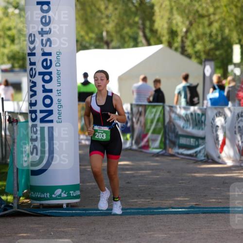01.09.2024 - 17. Tribühne Triathlon Michael Strokosch http://msf.ph/oto/6906363 01.09.2024 11:11:56 Ziel 203 meine-sportfotos.de