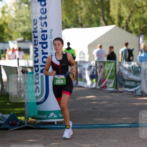 01.09.2024 - 17. Tribühne Triathlon Michael Strokosch http://msf.ph/oto/6906367 01.09.2024 11:11:56 Ziel 203 meine-sportfotos.de