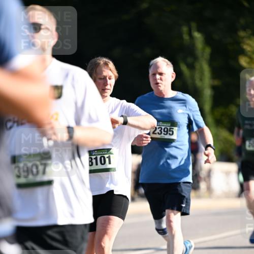 01.09.2024 - BARMER Alsterlauf Dr. Thomas Lammeyer http://msf.ph/oto/6906531 01.09.2024 09:42:02 Laufen 3907, 8101, 2395 meine-sportfotos.de
