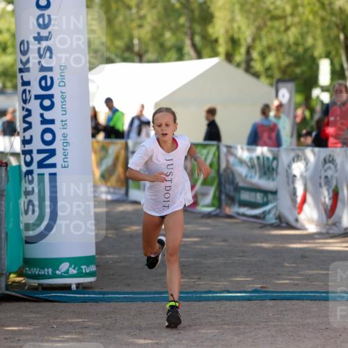 01.09.2024 - 17. Tribühne Triathlon Michael Strokosch http://msf.ph/oto/6906546 01.09.2024 11:12:14 Ziel 173, 196 meine-sportfotos.de