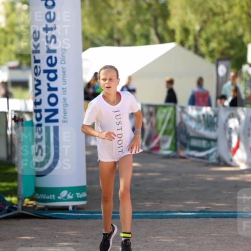 01.09.2024 - 17. Tribühne Triathlon Michael Strokosch http://msf.ph/oto/6906569 01.09.2024 11:12:14 Ziel 173, 196 meine-sportfotos.de