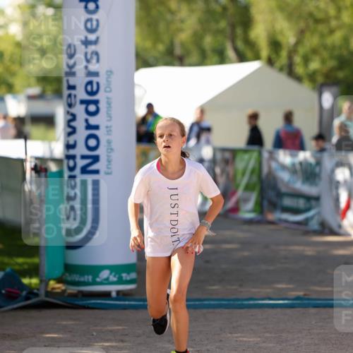 01.09.2024 - 17. Tribühne Triathlon Michael Strokosch http://msf.ph/oto/6906577 01.09.2024 11:12:15 Ziel 173, 196, 216 meine-sportfotos.de
