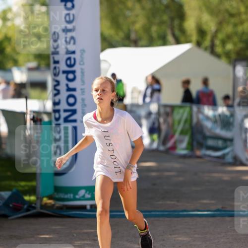 01.09.2024 - 17. Tribühne Triathlon Michael Strokosch http://msf.ph/oto/6906579 01.09.2024 11:12:15 Ziel 173, 196, 216 meine-sportfotos.de
