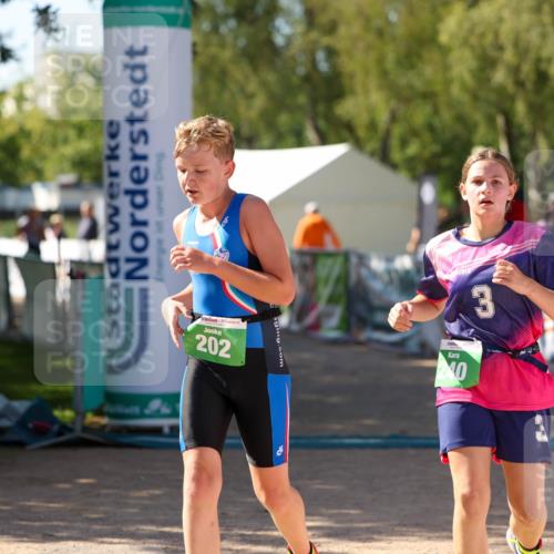 01.09.2024 - 17. Tribühne Triathlon Michael Strokosch http://msf.ph/oto/6906865 01.09.2024 11:13:15 Ziel 201, 202, 240 meine-sportfotos.de