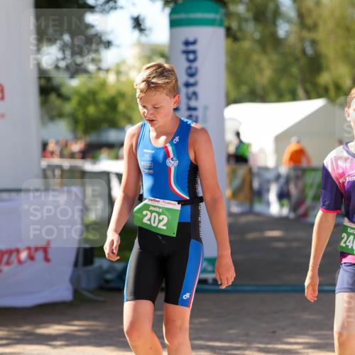 01.09.2024 - 17. Tribühne Triathlon Michael Strokosch http://msf.ph/oto/6906881 01.09.2024 11:13:16 Ziel 201, 202, 240 meine-sportfotos.de