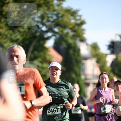 01.09.2024 - BARMER Alsterlauf Dr. Thomas Lammeyer http://msf.ph/oto/6906925 01.09.2024 09:42:19 Laufen 135, 2467, 21343, 3626 meine-sportfotos.de