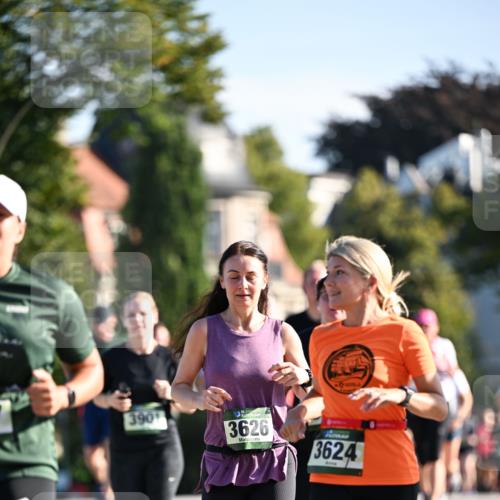 01.09.2024 - BARMER Alsterlauf Dr. Thomas Lammeyer http://msf.ph/oto/6906936 01.09.2024 09:42:20 Laufen 390, 3626, 3624 meine-sportfotos.de