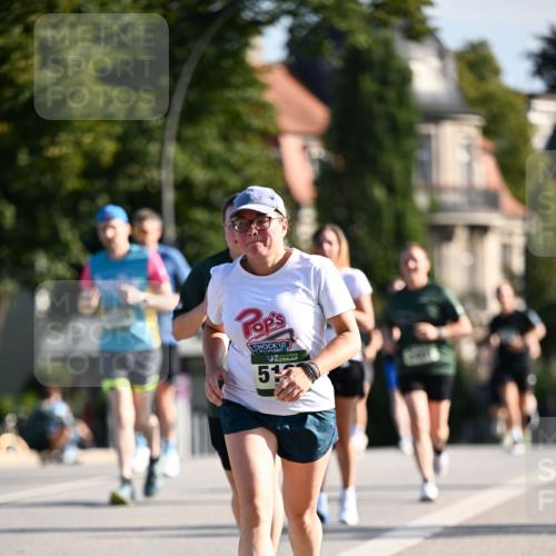 01.09.2024 - BARMER Alsterlauf Dr. Thomas Lammeyer http://msf.ph/oto/6907090 01.09.2024 09:42:28 Laufen 35, 512 meine-sportfotos.de