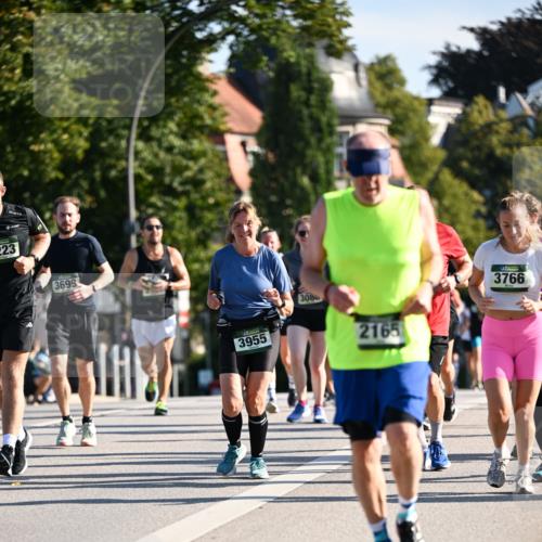 01.09.2024 - BARMER Alsterlauf Dr. Thomas Lammeyer http://msf.ph/oto/6907301 01.09.2024 09:42:37 Laufen 223, 3699, 3955, 3086, 2165, 3766 meine-sportfotos.de