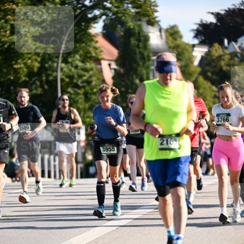 01.09.2024 - BARMER Alsterlauf Dr. Thomas Lammeyer http://msf.ph/oto/6907310 01.09.2024 09:42:37 Laufen 3699, 3955, 2165, 3766 meine-sportfotos.de