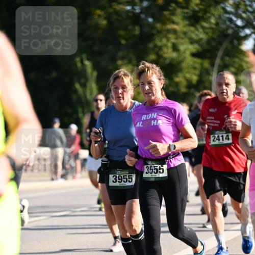 01.09.2024 - BARMER Alsterlauf Dr. Thomas Lammeyer http://msf.ph/oto/6907394 01.09.2024 09:42:40 Laufen 3955, 3555, 2414 meine-sportfotos.de