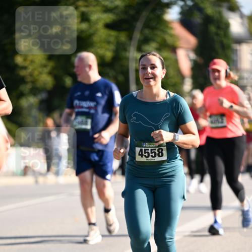 01.09.2024 - BARMER Alsterlauf Dr. Thomas Lammeyer http://msf.ph/oto/6907488 01.09.2024 09:42:45 Laufen 35, 4558 meine-sportfotos.de