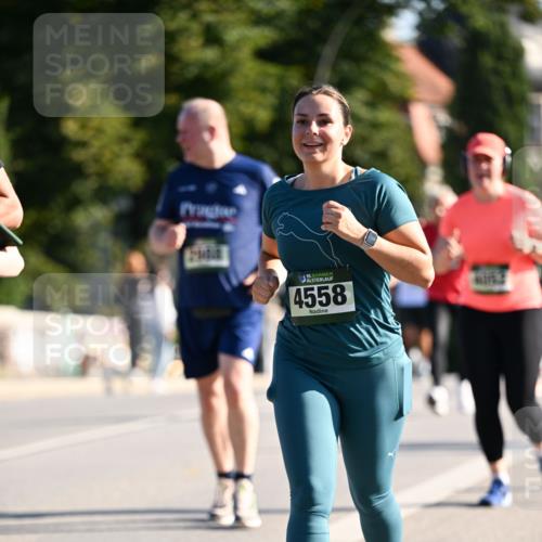 01.09.2024 - BARMER Alsterlauf Dr. Thomas Lammeyer http://msf.ph/oto/6907493 01.09.2024 09:42:45 Laufen 35, 4558 meine-sportfotos.de