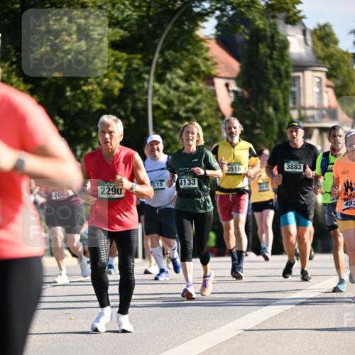 01.09.2024 - BARMER Alsterlauf Dr. Thomas Lammeyer http://msf.ph/oto/6907596 01.09.2024 09:42:48 Laufen 515, 4133, 2290, 3516, 00, 3142, 3883, 452 meine-sportfotos.de