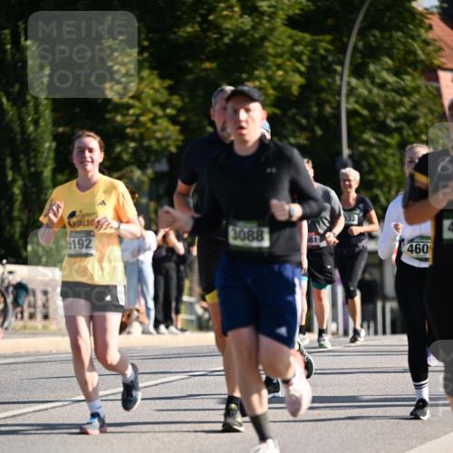 01.09.2024 - BARMER Alsterlauf Dr. Thomas Lammeyer http://msf.ph/oto/6907771 01.09.2024 09:42:55 Laufen 192, 3088, 460 meine-sportfotos.de