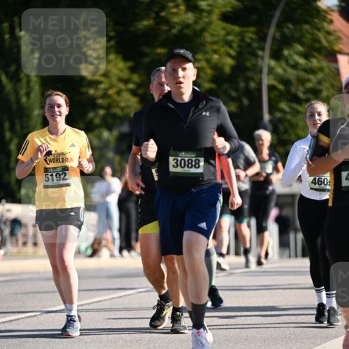 01.09.2024 - BARMER Alsterlauf Dr. Thomas Lammeyer http://msf.ph/oto/6907778 01.09.2024 09:42:55 Laufen 5192, 3088, 460, 4 meine-sportfotos.de
