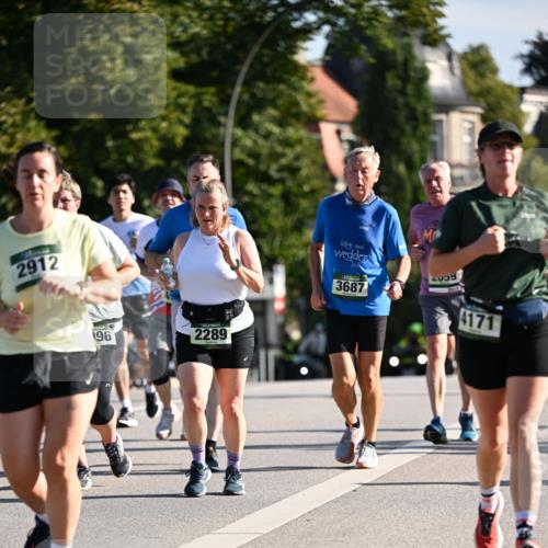 01.09.2024 - BARMER Alsterlauf Dr. Thomas Lammeyer http://msf.ph/oto/6907902 01.09.2024 09:43:00 Laufen 2912, 196, 2289, 3687, 2059, 4171 meine-sportfotos.de