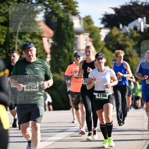 01.09.2024 - BARMER Alsterlauf Dr. Thomas Lammeyer http://msf.ph/oto/6908069 01.09.2024 09:43:07 Laufen 4603, 35, 4786, 22 meine-sportfotos.de