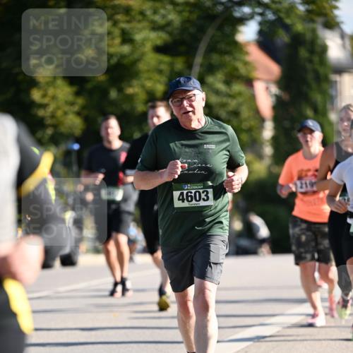 01.09.2024 - BARMER Alsterlauf Dr. Thomas Lammeyer http://msf.ph/oto/6908080 01.09.2024 09:43:07 Laufen 35, 4603, 219 meine-sportfotos.de