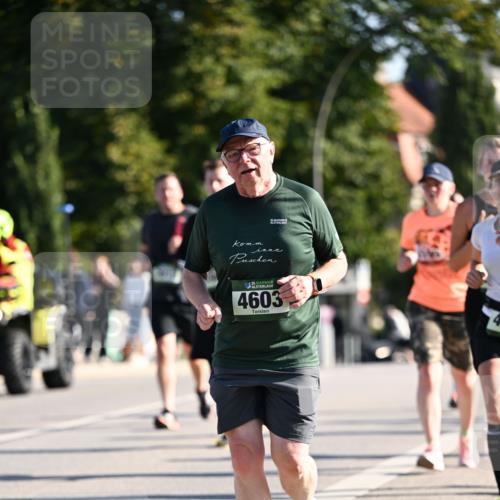 01.09.2024 - BARMER Alsterlauf Dr. Thomas Lammeyer http://msf.ph/oto/6908094 01.09.2024 09:43:08 Laufen 35, 4603 meine-sportfotos.de