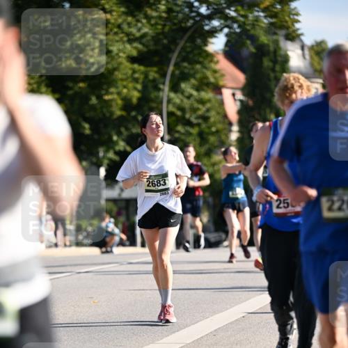01.09.2024 - BARMER Alsterlauf Dr. Thomas Lammeyer http://msf.ph/oto/6908144 01.09.2024 09:43:11 Laufen 2683, 2683, 250, 22, 221 meine-sportfotos.de