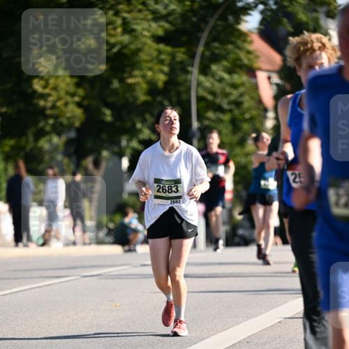 01.09.2024 - BARMER Alsterlauf Dr. Thomas Lammeyer http://msf.ph/oto/6908159 01.09.2024 09:43:11 Laufen 2683, 2683, 25 meine-sportfotos.de