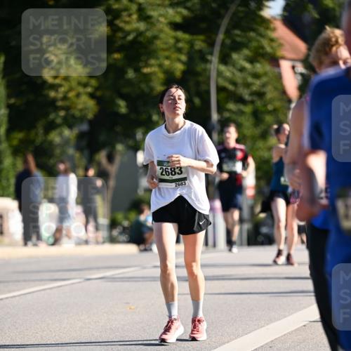 01.09.2024 - BARMER Alsterlauf Dr. Thomas Lammeyer http://msf.ph/oto/6908166 01.09.2024 09:43:11 Laufen 2683, 2683 meine-sportfotos.de