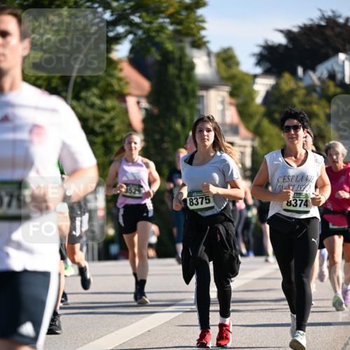 01.09.2024 - BARMER Alsterlauf Dr. Thomas Lammeyer http://msf.ph/oto/6908413 01.09.2024 09:43:22 Laufen 379, 8375, 8374 meine-sportfotos.de
