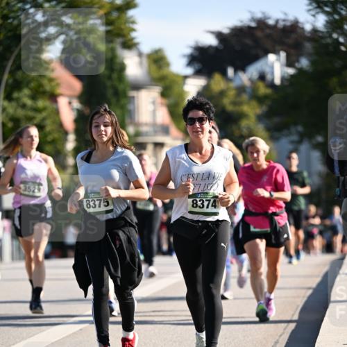 01.09.2024 - BARMER Alsterlauf Dr. Thomas Lammeyer http://msf.ph/oto/6908437 01.09.2024 09:43:23 Laufen 3529, 8375, 8374 meine-sportfotos.de