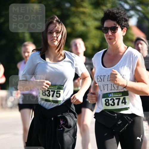 01.09.2024 - BARMER Alsterlauf Dr. Thomas Lammeyer http://msf.ph/oto/6908494 01.09.2024 09:43:26 Laufen 8375, 35, 8374 meine-sportfotos.de