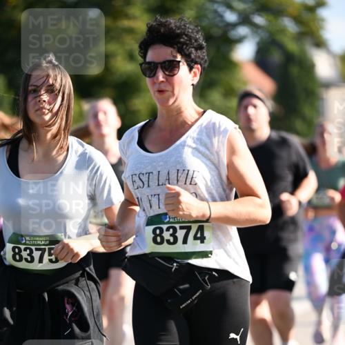 01.09.2024 - BARMER Alsterlauf Dr. Thomas Lammeyer http://msf.ph/oto/6908498 01.09.2024 09:43:26 Laufen 35, 8375, 7, 8374 meine-sportfotos.de