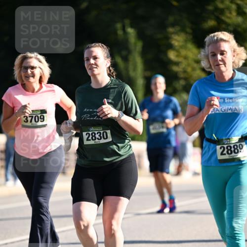 01.09.2024 - BARMER Alsterlauf Dr. Thomas Lammeyer http://msf.ph/oto/6908626 01.09.2024 09:43:32 Laufen 3709, 2830, 2889 meine-sportfotos.de
