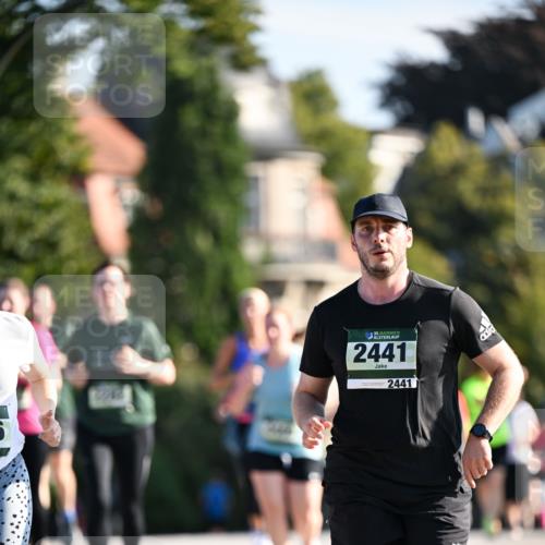 01.09.2024 - BARMER Alsterlauf Dr. Thomas Lammeyer http://msf.ph/oto/6909011 01.09.2024 09:43:52 Laufen 446, 1635, 2441, 2441 meine-sportfotos.de