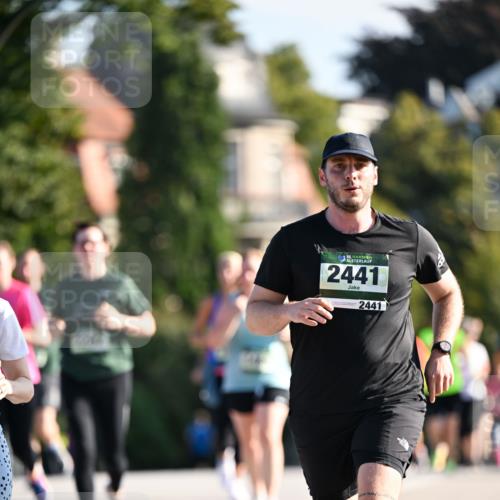 01.09.2024 - BARMER Alsterlauf Dr. Thomas Lammeyer http://msf.ph/oto/6909017 01.09.2024 09:43:52 Laufen 35, 2441, 2441 meine-sportfotos.de