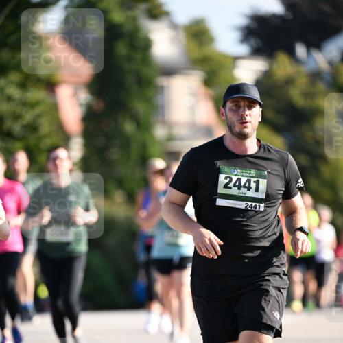 01.09.2024 - BARMER Alsterlauf Dr. Thomas Lammeyer http://msf.ph/oto/6909020 01.09.2024 09:43:52 Laufen 135, 2441, 2441 meine-sportfotos.de