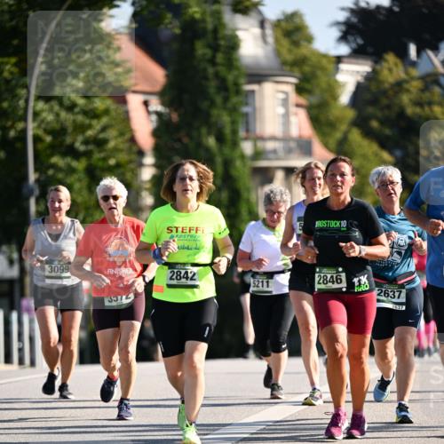 01.09.2024 - BARMER Alsterlauf Dr. Thomas Lammeyer http://msf.ph/oto/6909220 01.09.2024 09:44:01 Laufen 10, 3099, 2842, 5211, 2846, 3572, 2637, 2637 meine-sportfotos.de