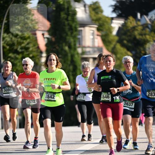 01.09.2024 - BARMER Alsterlauf Dr. Thomas Lammeyer http://msf.ph/oto/6909228 01.09.2024 09:44:01 Laufen 3099, 2842, 3572, 5211, 10, 2846, 2637, 283, 2637 meine-sportfotos.de