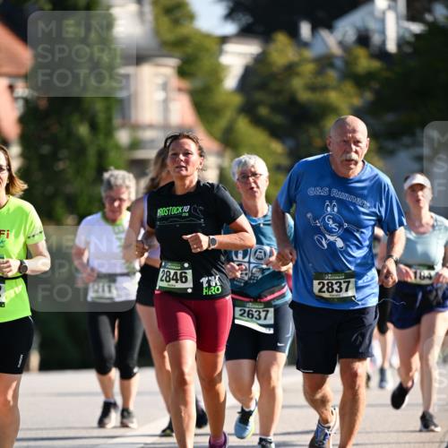 01.09.2024 - BARMER Alsterlauf Dr. Thomas Lammeyer http://msf.ph/oto/6909258 01.09.2024 09:44:02 Laufen 10, 2846, 2637, 2837 meine-sportfotos.de