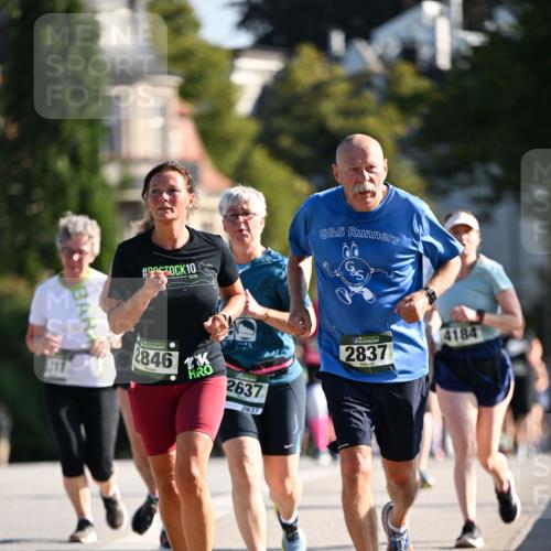 01.09.2024 - BARMER Alsterlauf Dr. Thomas Lammeyer http://msf.ph/oto/6909264 01.09.2024 09:44:02 Laufen 10, 2846, 2637, 2637, 4184, 2837 meine-sportfotos.de