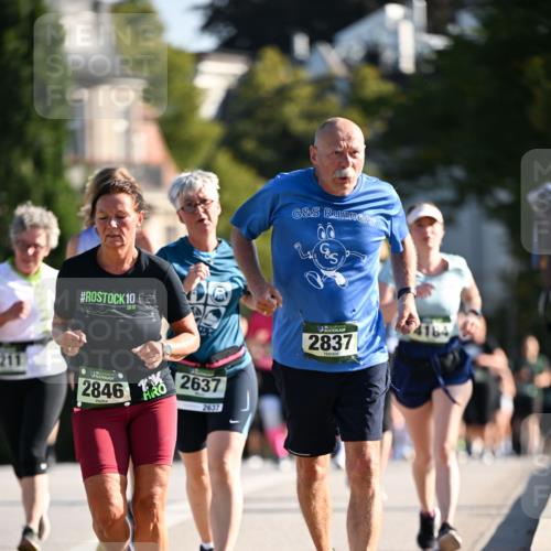 01.09.2024 - BARMER Alsterlauf Dr. Thomas Lammeyer http://msf.ph/oto/6909268 01.09.2024 09:44:02 Laufen 10, 211, 2846, 2637, 2637, 2837, 4184 meine-sportfotos.de