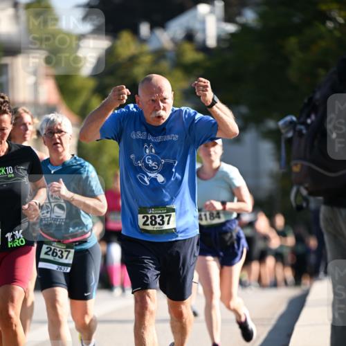 01.09.2024 - BARMER Alsterlauf Dr. Thomas Lammeyer http://msf.ph/oto/6909275 01.09.2024 09:44:03 Laufen 10, 2018, 2637, 2637, 35, 2837, 184, 4184 meine-sportfotos.de