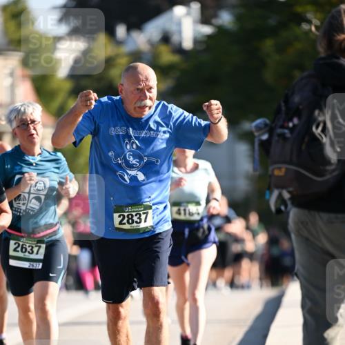 01.09.2024 - BARMER Alsterlauf Dr. Thomas Lammeyer http://msf.ph/oto/6909280 01.09.2024 09:44:03 Laufen 2637, 2637, 00, 35, 2837, 4164 meine-sportfotos.de