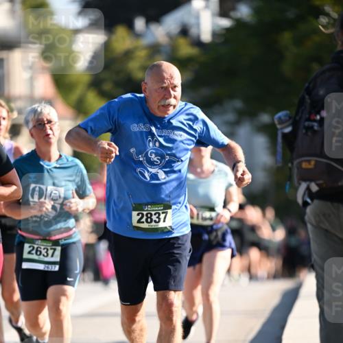 01.09.2024 - BARMER Alsterlauf Dr. Thomas Lammeyer http://msf.ph/oto/6909286 01.09.2024 09:44:03 Laufen 35, 2837, 2637, 2637 meine-sportfotos.de