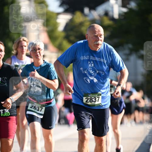 01.09.2024 - BARMER Alsterlauf Dr. Thomas Lammeyer http://msf.ph/oto/6909288 01.09.2024 09:44:03 Laufen 2637, 35, 2837 meine-sportfotos.de